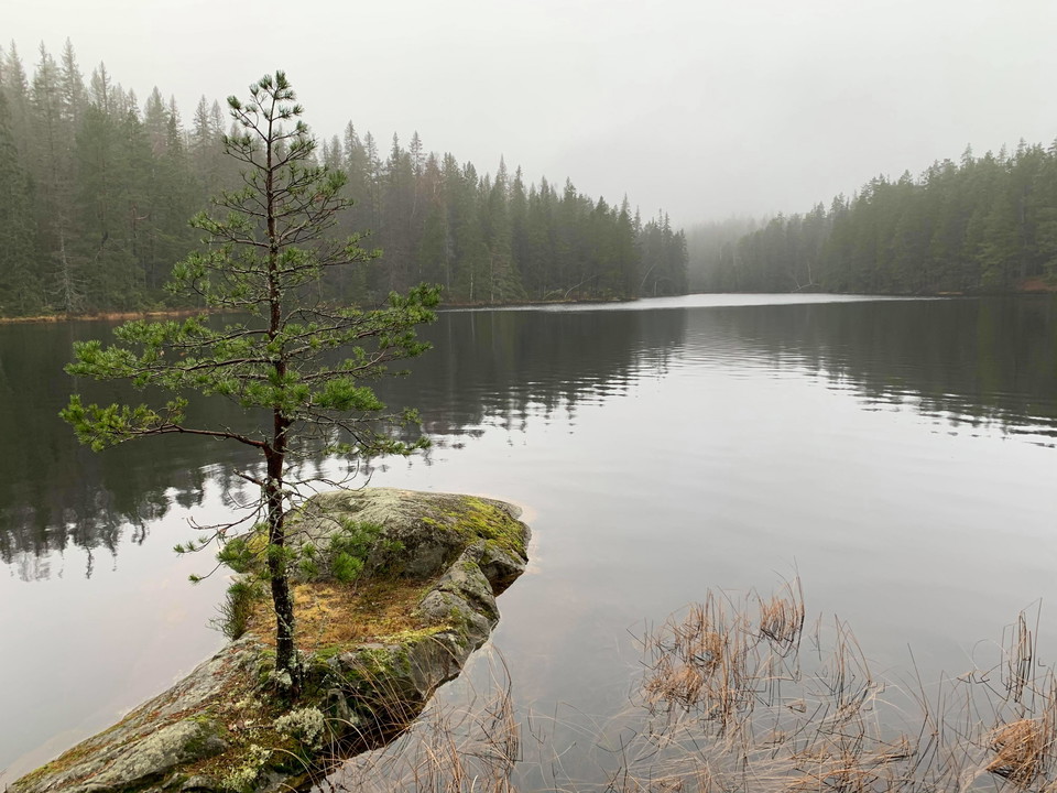Vy över Örtjärn