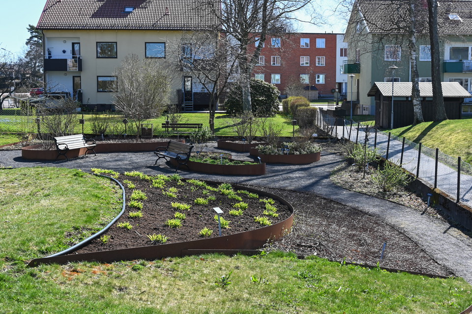Odlingar i parken