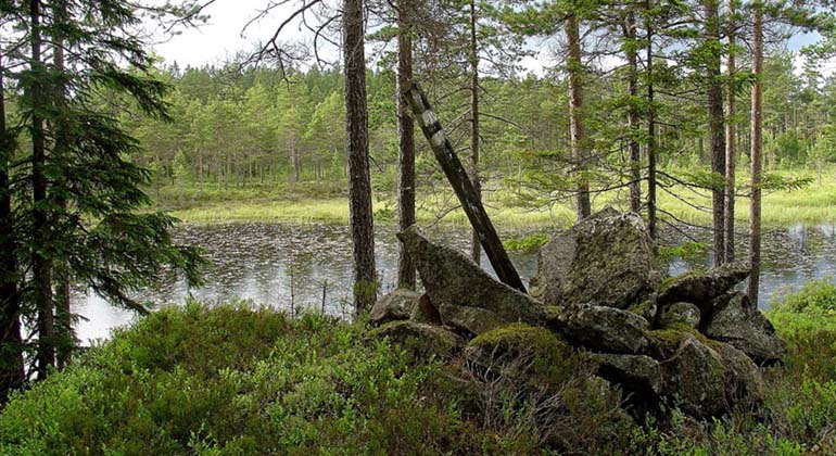Gamla råröset vid Södra Blecktjärn.