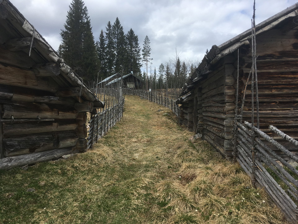 Skräddar-Djurberga