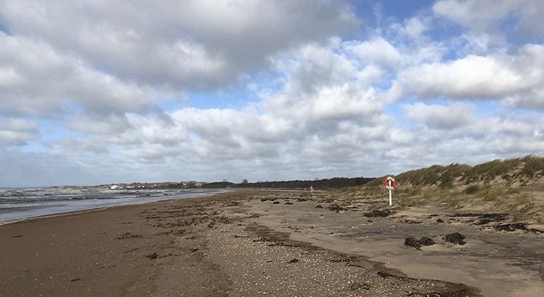 Vy från strandkanten ut över havet