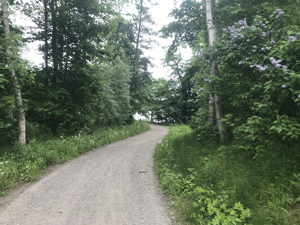 Cykelväg med sjö i bakgrunden