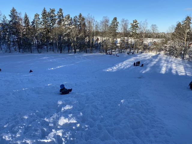Breviksalpen, lilla backen