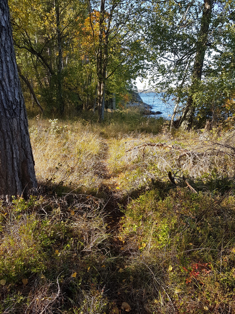Norrut från Mor Annas brygga. Foto Lidingö stad.
