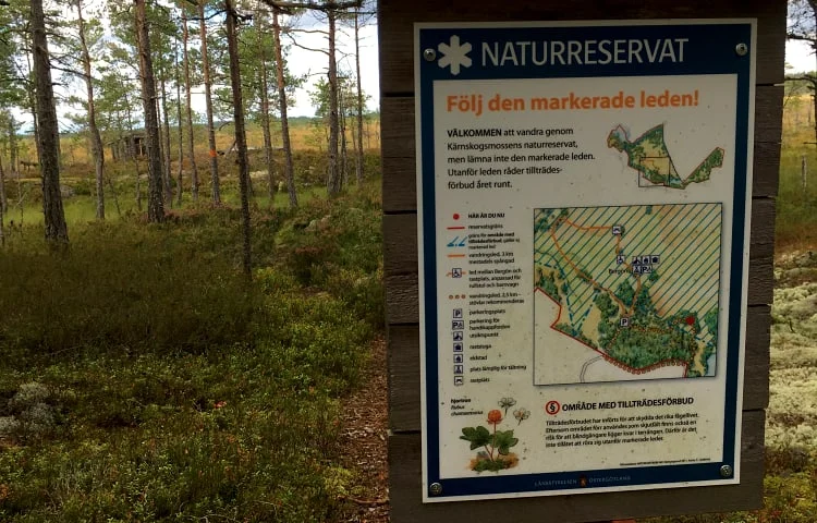 Södra slingan