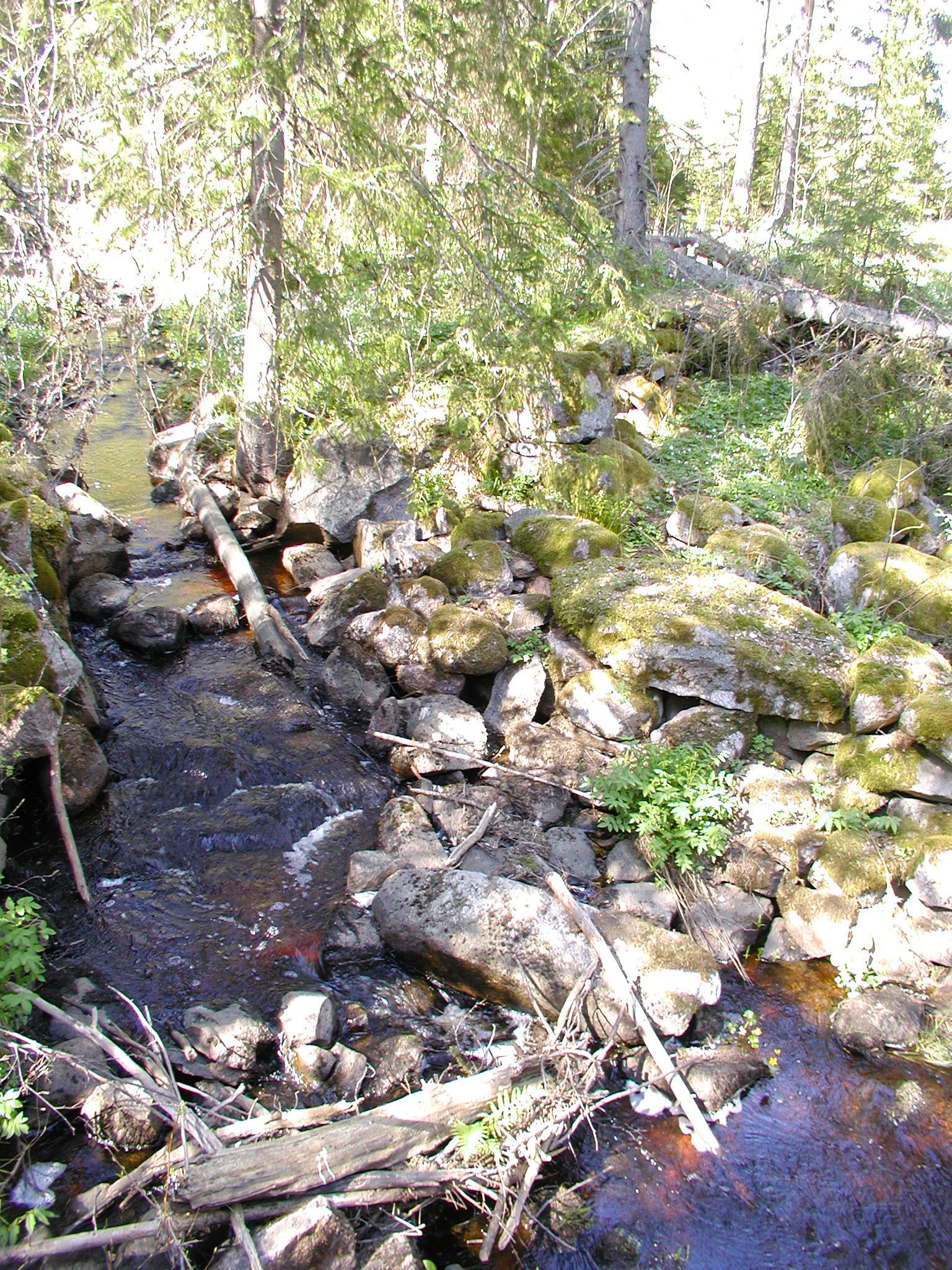 Borudan-Pellemossens naturreservat