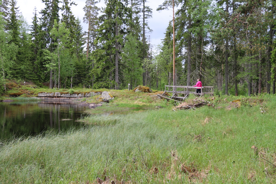 En spång med räcken leder över en sjö.