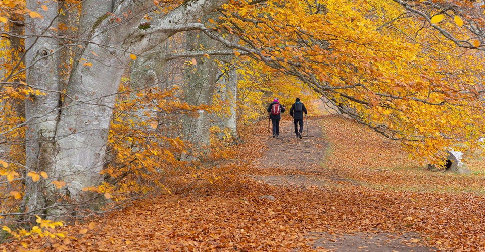 Bokskog Stocklycke Omberg.
Etapp Ödeshög-Stocklycke.
Ödeshög.