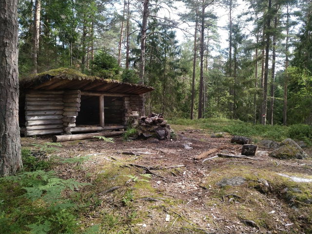 Vinterskogens vindskydd och eldstad
