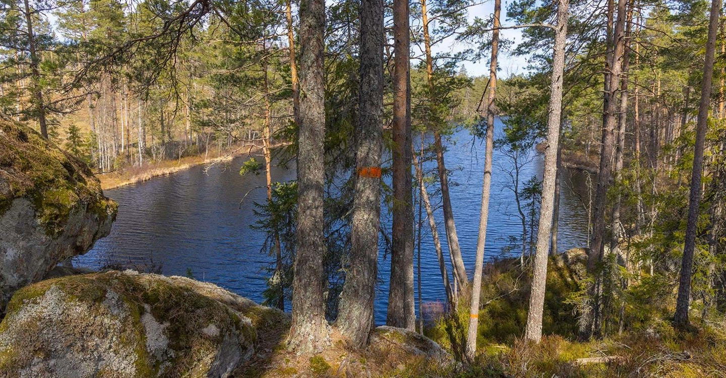 Vackert vid Alsjön.
Etapp: Norra Vi - Österbymo.
Ydre.