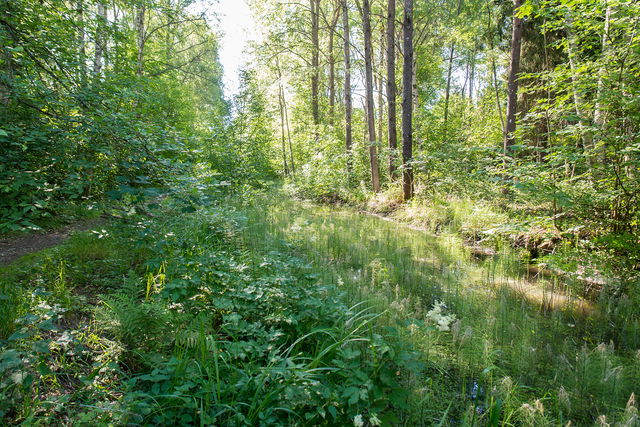 Kräppladiket, Tysta platser, Rågsved