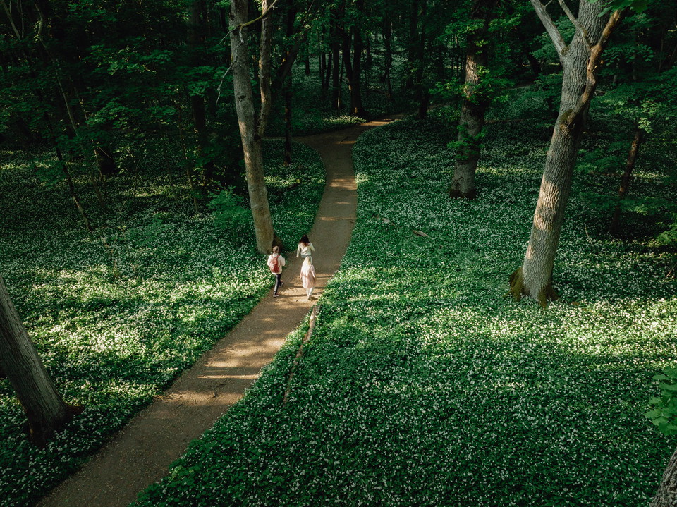 Munkängarna under våren