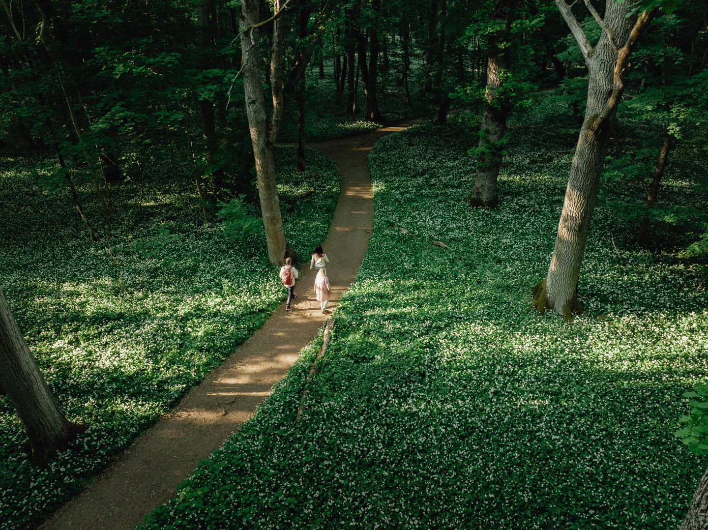 Munkängarna under våren