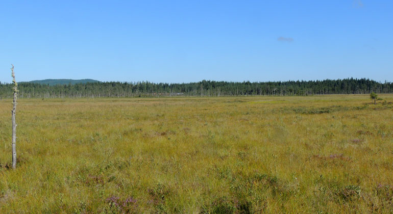 Länsstyrelsen dalarna