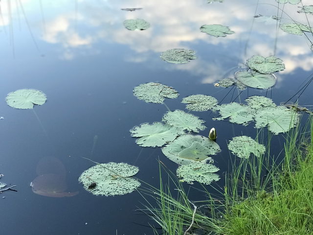 Söderhamn-Lötån