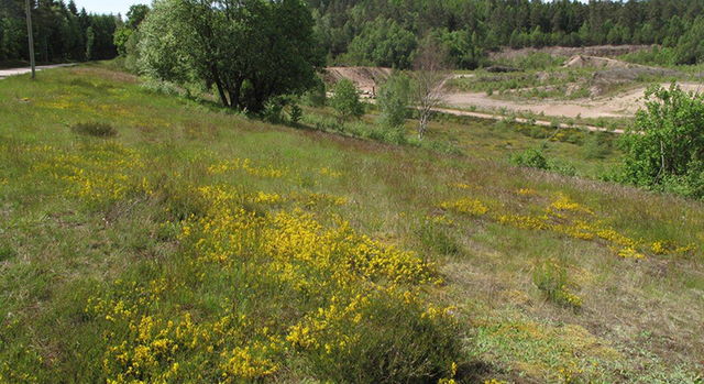 Bockalts naturreservat, Naturreservat