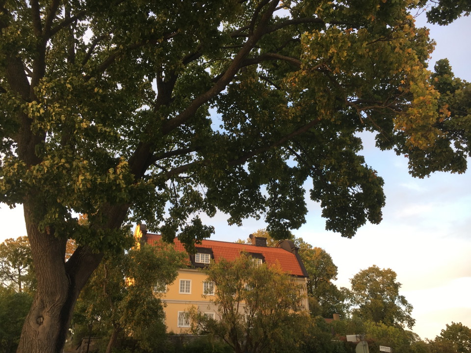 Hamninspektionsbyggnaden på Blockhusudden.