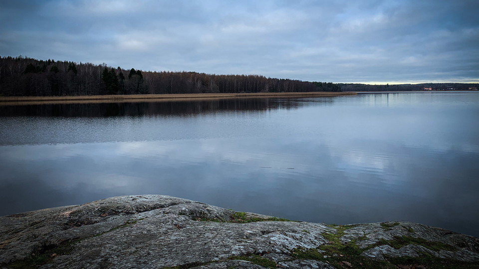 En klipphäll i förgrunden med en blank vattenyta nedanför och skog i bakgrunden.