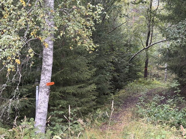Kyrkleden Nyfors - Malingsbo 