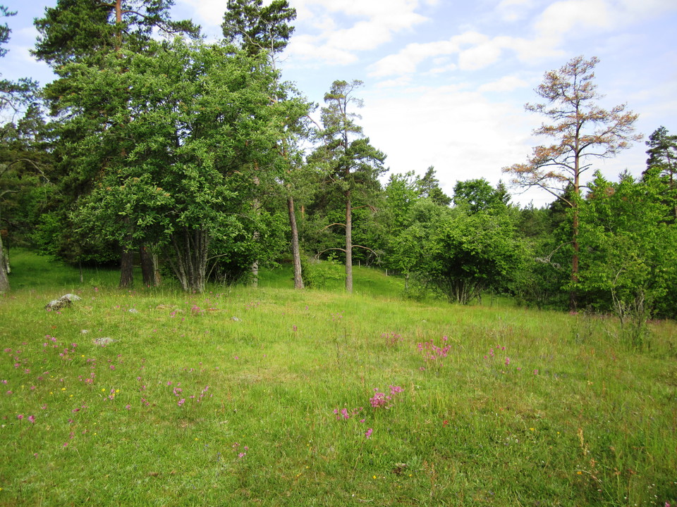 Elin van Dooren/Trosa kommun