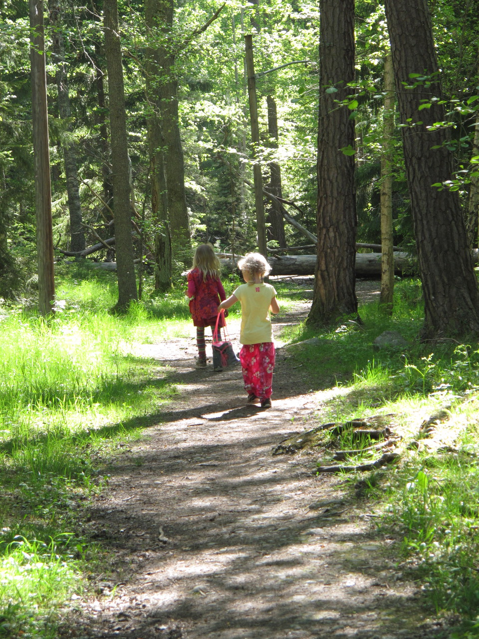 Kärsön, Lovö naturreservat. Foto: Länsstyrelsen Stockholm.