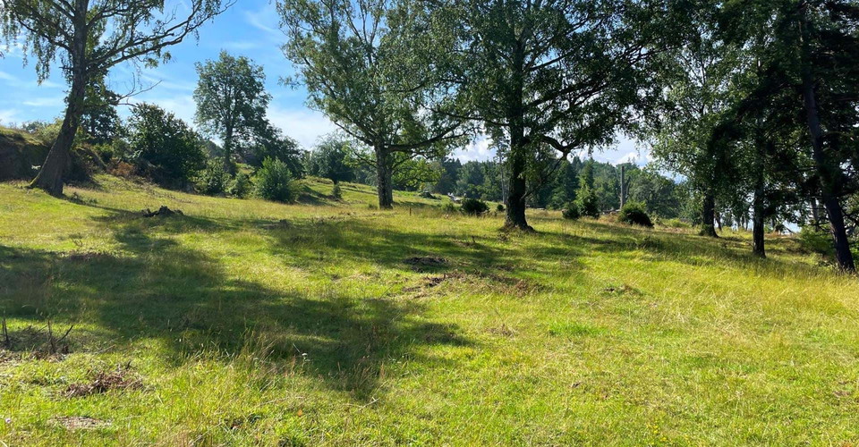 Orrnäs betesmark
Orrnäs rundslinga
Ödeshög kn