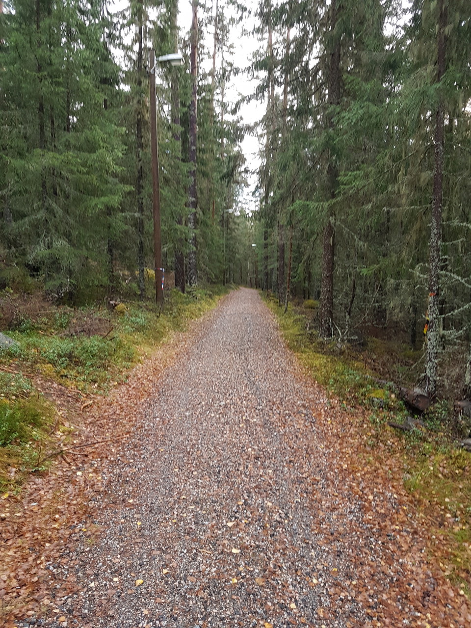 Spåret i barmark