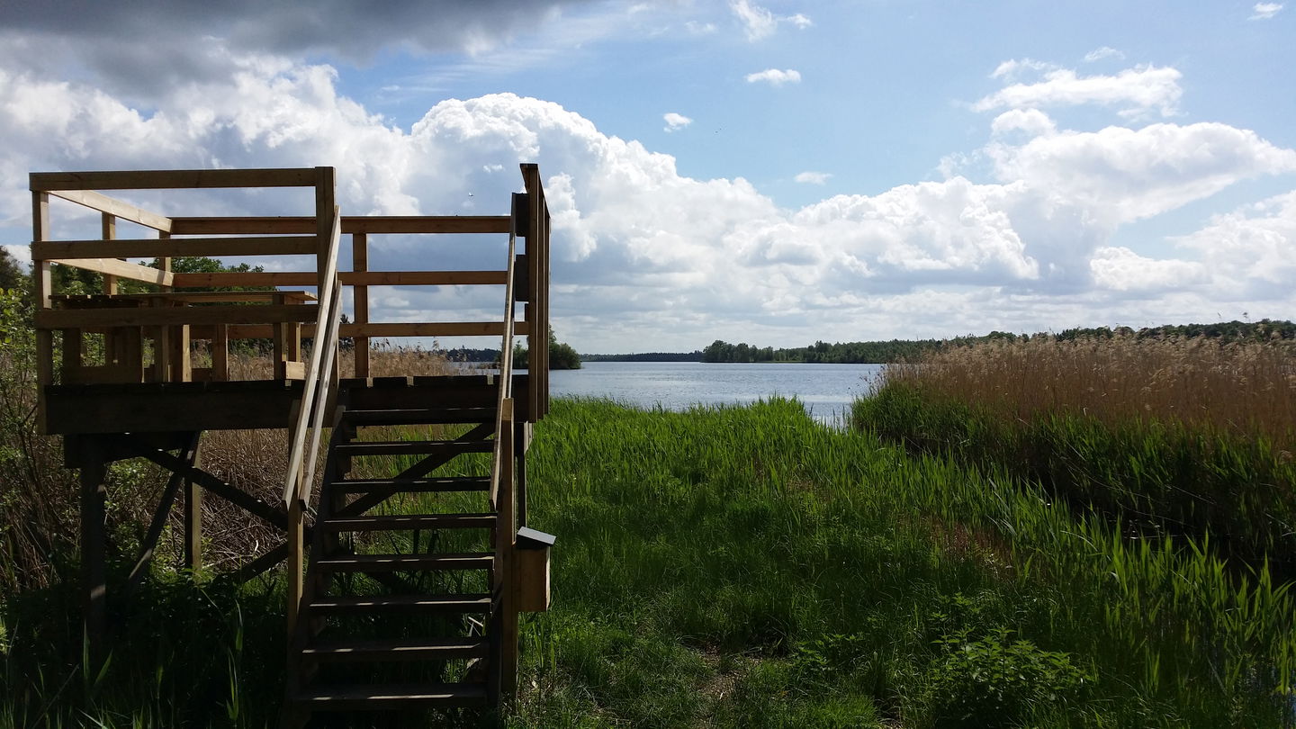 Fågeltorn Kalvsvik