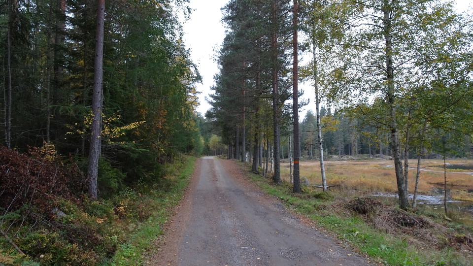 Grusväg på väg in mot St Abborrtjärn