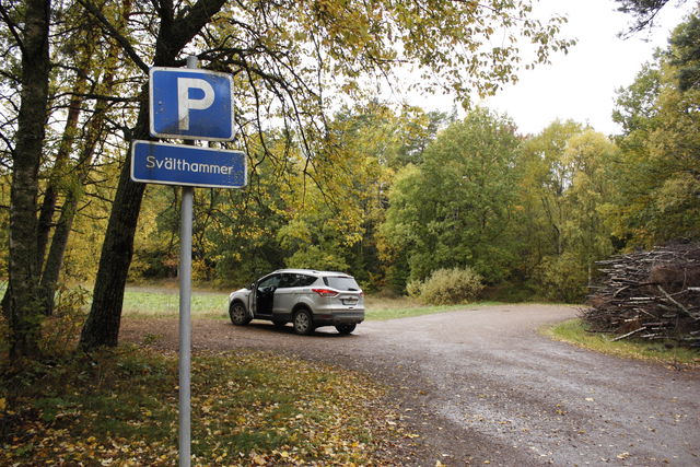 Parkering Svälthammer, Hammarskog
