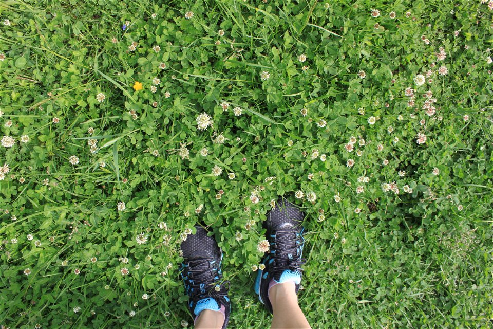 Närbild på ett par gympaskor som står bland många blommor och frodigt gräs.