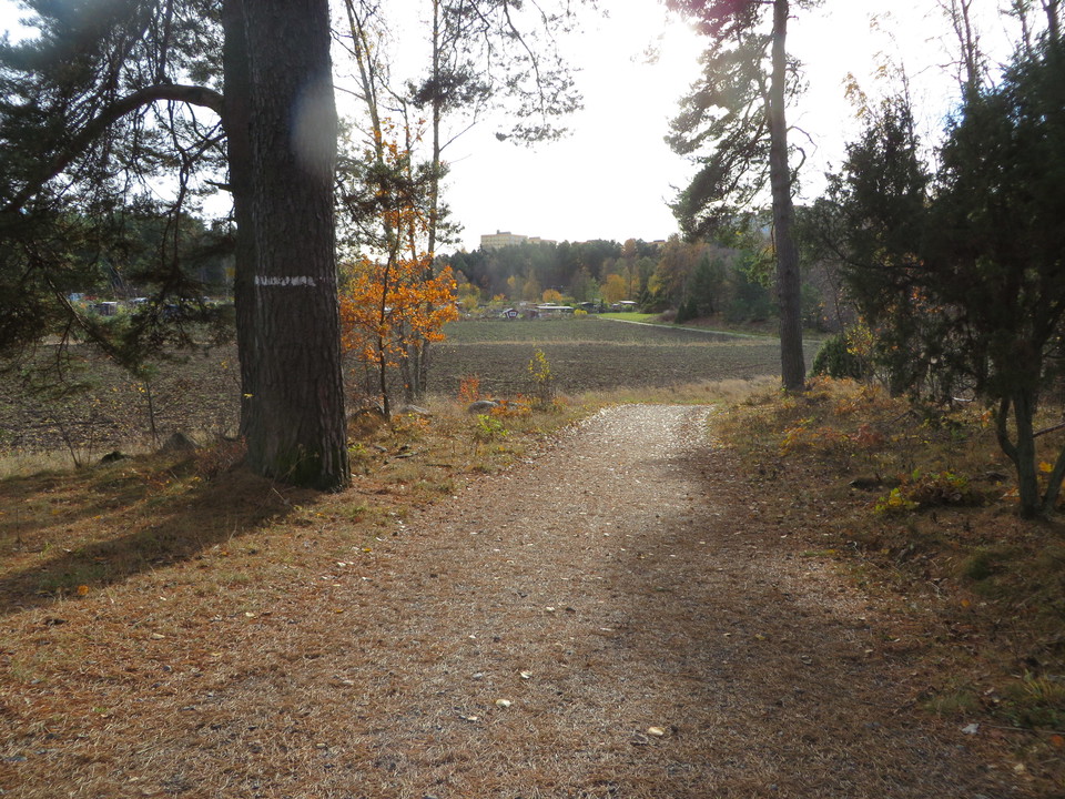 Uppifrån den branta backen efter ängen