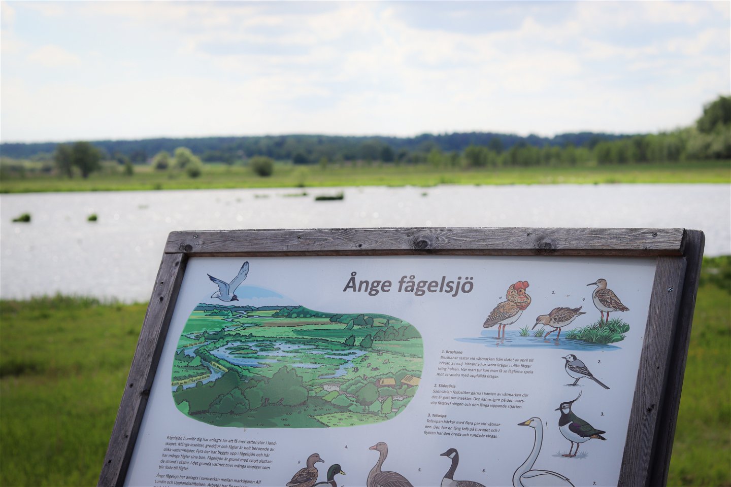 En skylt med fåglar och texten "Ånge fågelsjö", med utsikt mot en sjö.