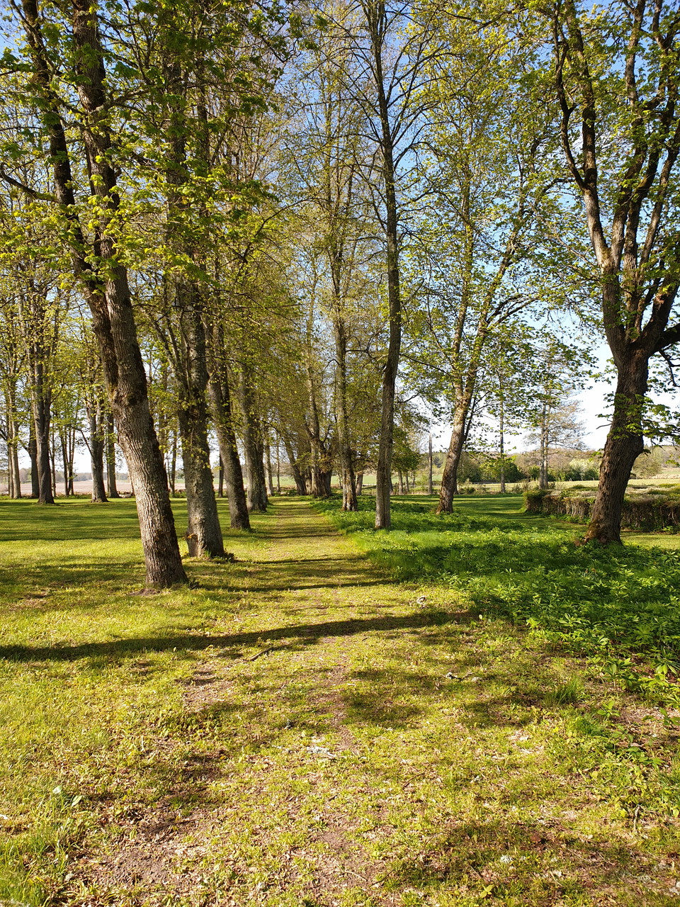 Naturreservat Värmlands Säby