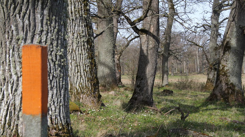 Vandringsled, Jordmarken