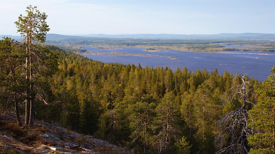 Från toppen av Malungsberget ser du ut över Kalixälven.