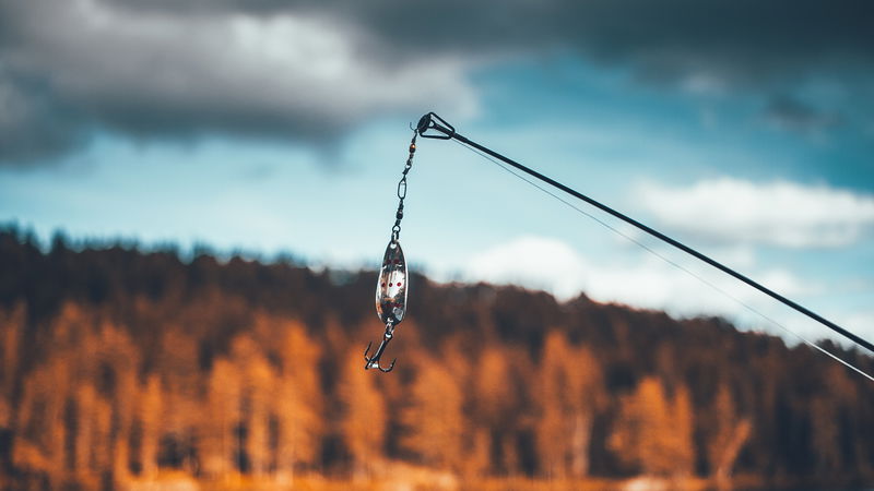 Sportfiskekortet, Lanarestjärt