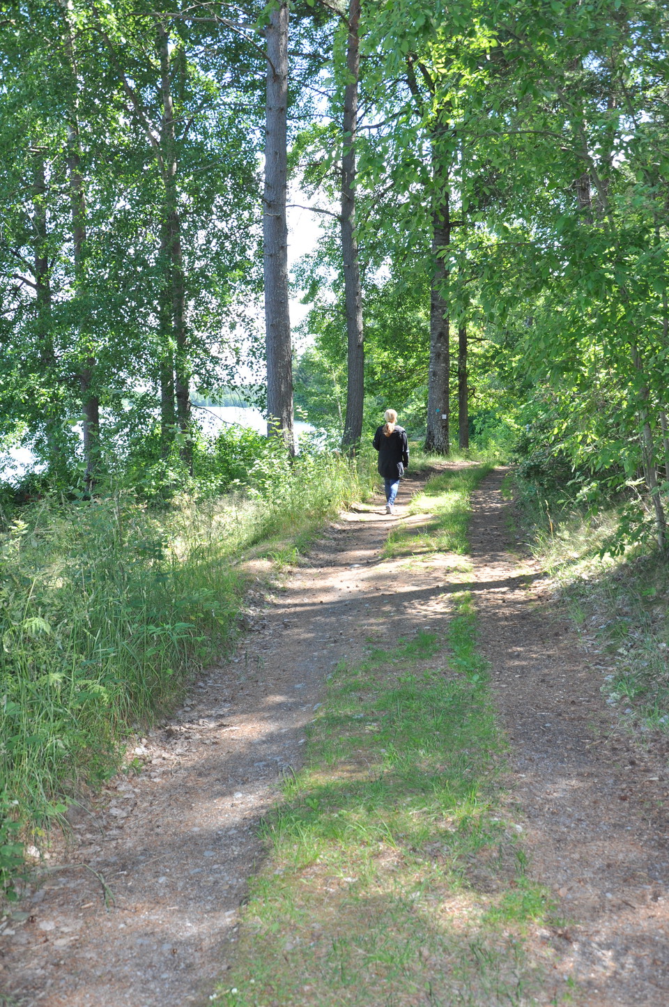 I skogen vid Skytteholm