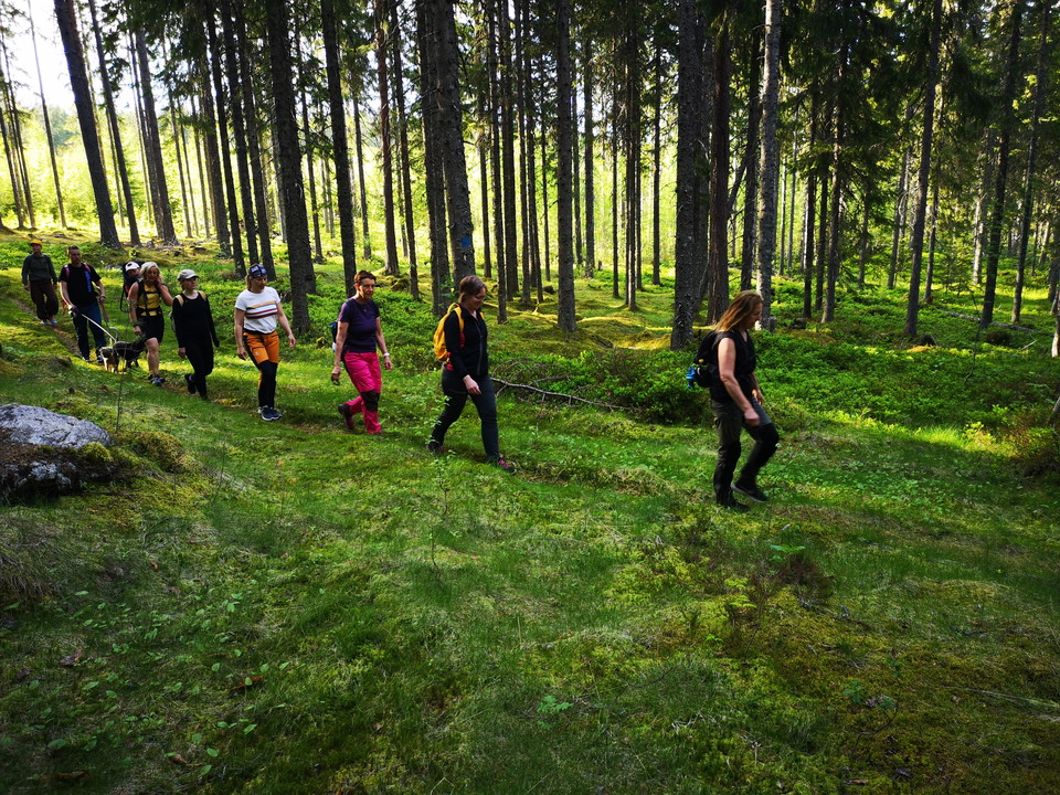 Klövsvallen - Nyvallen