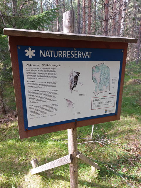 Nära till Skörolsmyrans naturreservat