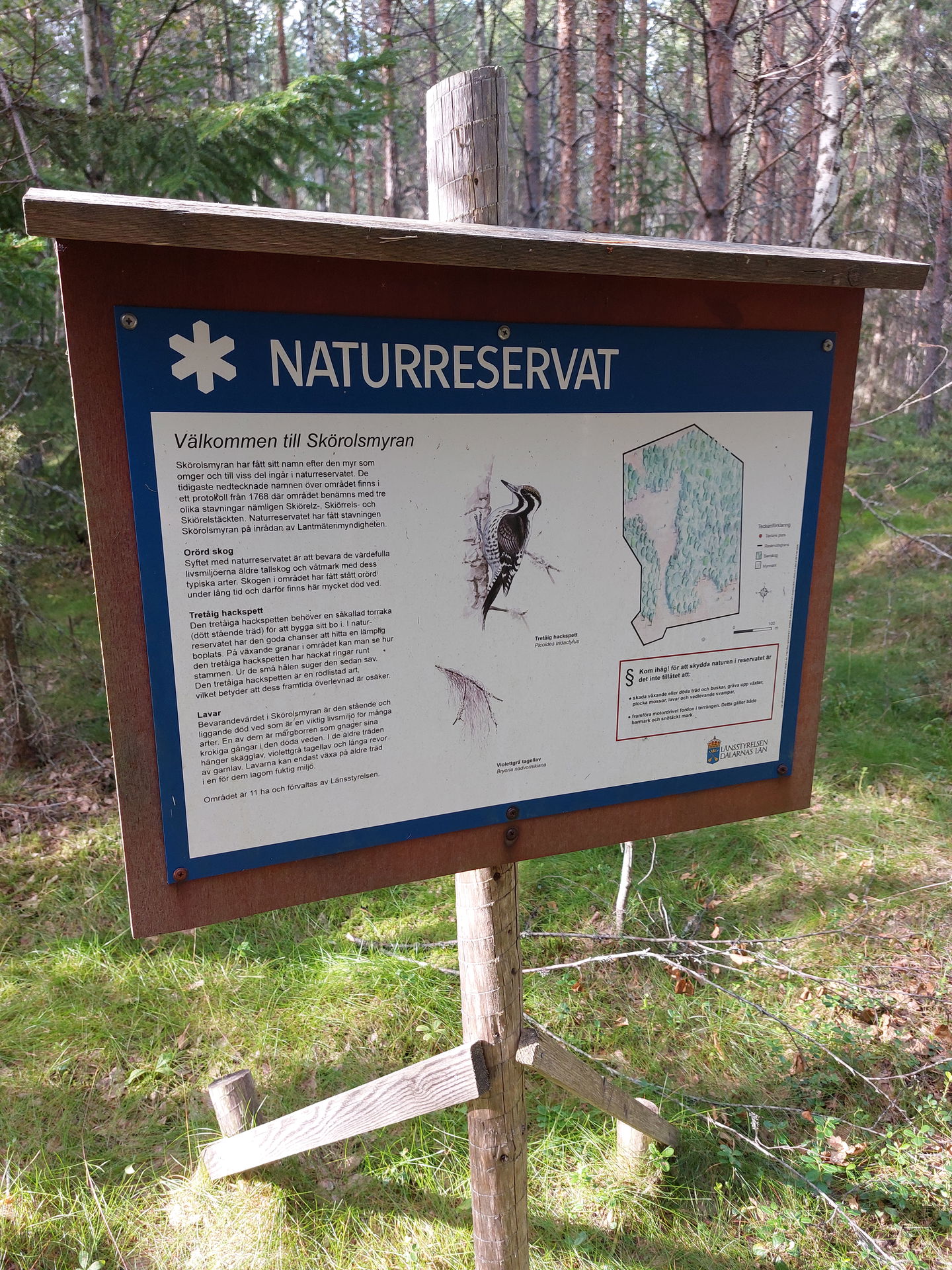 Nära till Skörolsmyrans naturreservat