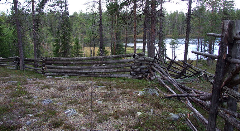 Östra Njaltaheden.