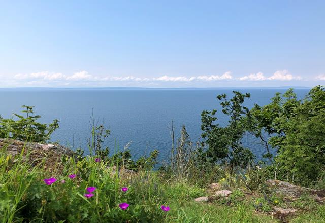 Drottning Ommas borg