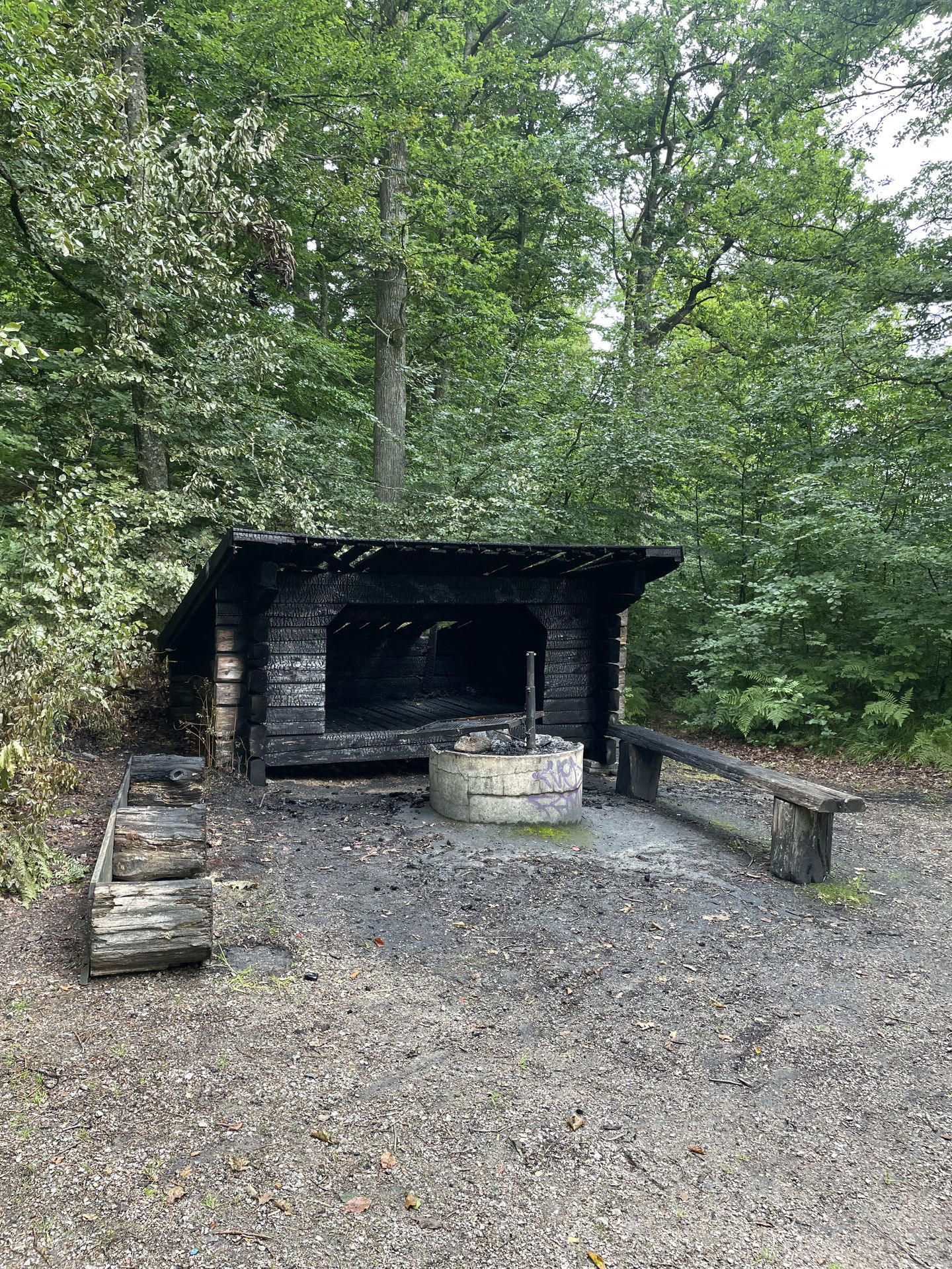 Bild från 10 aug efter släckt brand