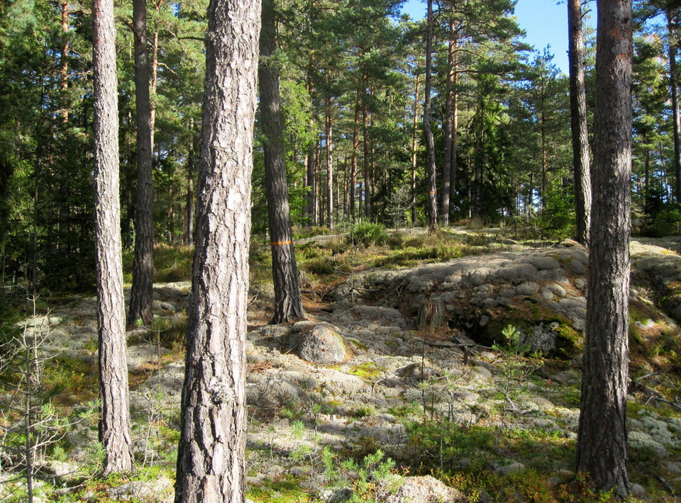 Finspång