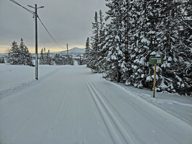 12,5 km spåret - Högfjällshotellets spårcentral (längdskidor, Storlien)
