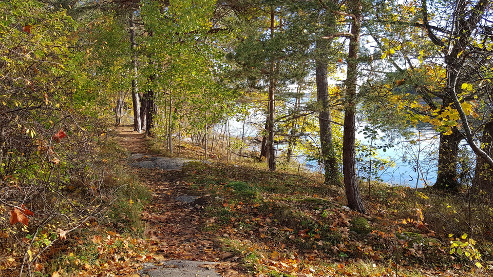 Strandsnära stig vid Dalakolonin. Foto Lidingö stad