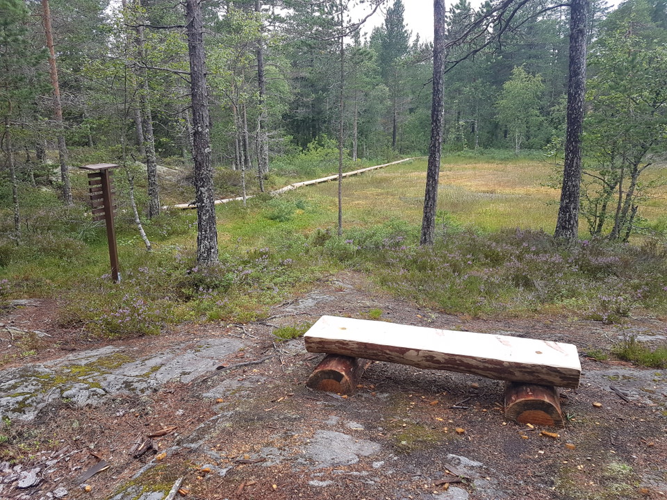 Vilbänk längs Naturstigen