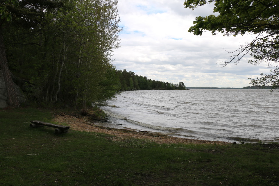 Liten vik i Mälaren. Närmast vattnet är det sand, för övrigt är det gräs. En bänk står på gräset.