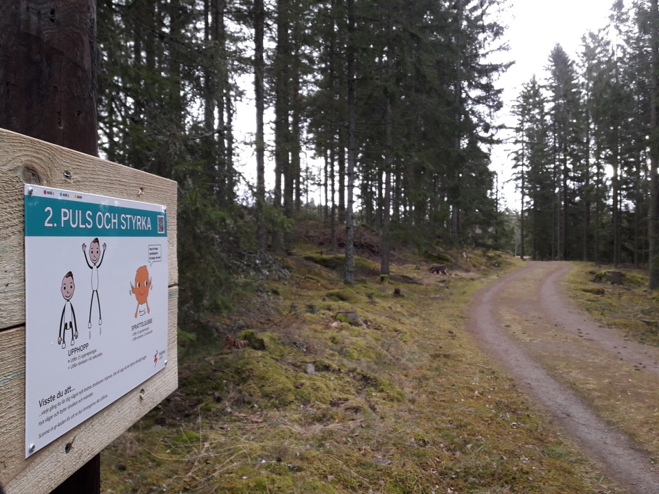 12 övningar för alla